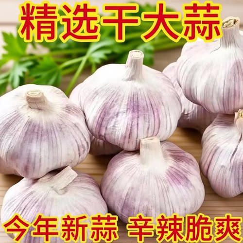 干大蒜头干蒜河南农家自种土蒜紫白皮大蒜带箱蔬菜新鲜优质精选