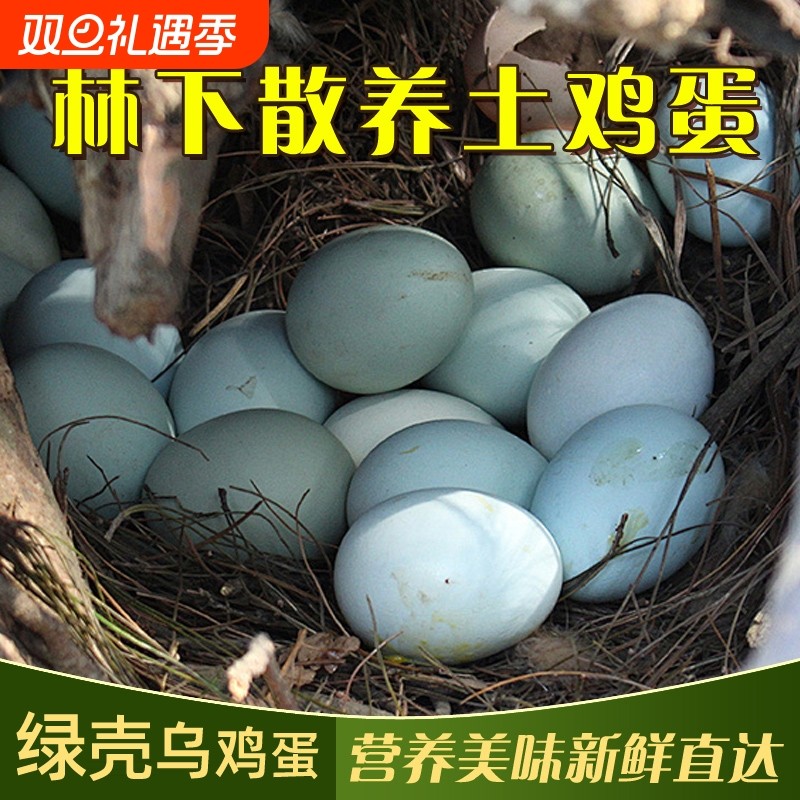 绿壳乌鸡蛋正宗农家散养土鸡蛋