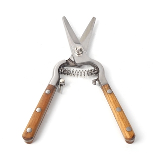 水曲柳尖头木柄剪园林剪果枝剪 采摘水果葡萄剪刀修枝剪