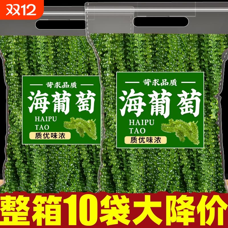 海葡萄新鲜即食海带零食泡发网红爆海洋蔬菜植物绿色鱼子酱凉拌菜