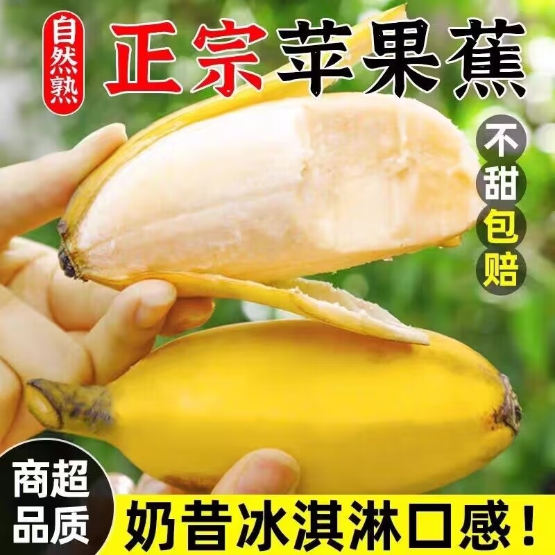 现摘海南苹果蕉当季新鲜水果9斤整箱自然熟banana小米蕉香蕉粉蕉-封面