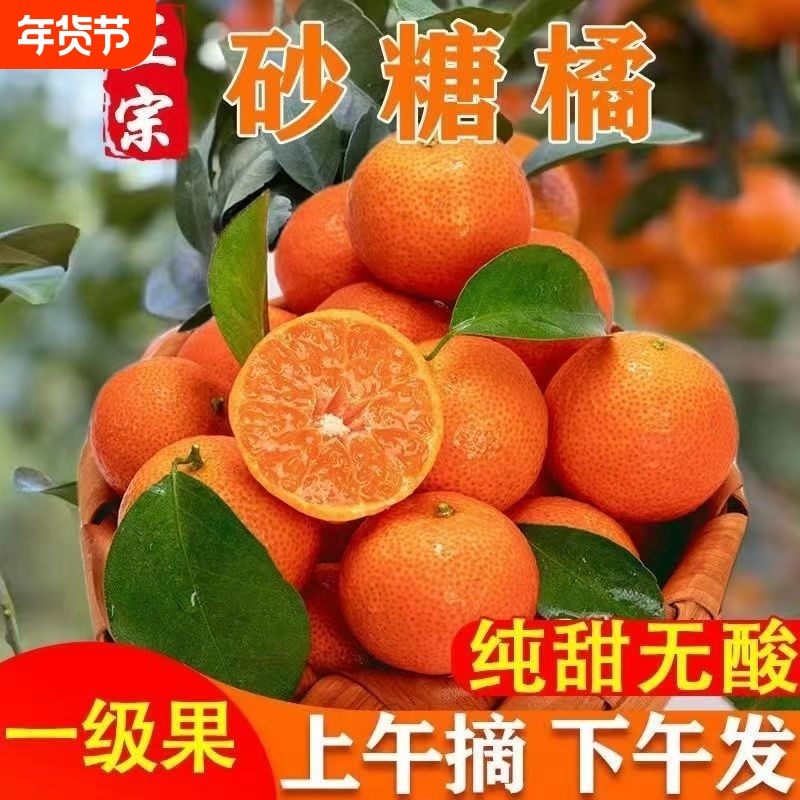 当季爆甜正宗广西砂糖橘当季新鲜水果薄皮沙糖桔子蜜桔蜜橘子现摘,水产肉类/新鲜蔬果/熟食,桔子,淘宝优惠券,粉丝福利购,淘宝优惠卷