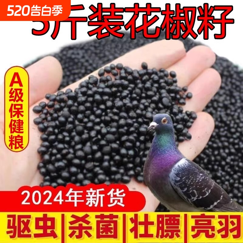 新花椒籽子鸽子用粮食用饲料保健砂幼鸽粮粮食观赏鸽信榨油