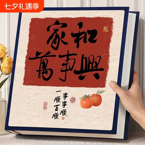 相册收纳本混合尺寸麂皮绒插页式