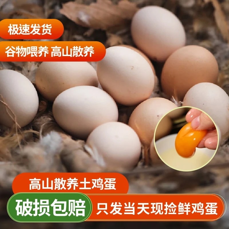 农家正宗五谷杂粮散养土鸡蛋早餐蛋鲜鸡蛋50±5克/枚包邮破损包赔,水产肉类/新鲜蔬果/熟食,鸡蛋,淘宝优惠券,粉丝福利购,淘宝优惠卷