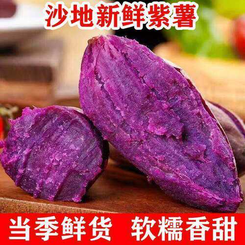 正宗沙地紫薯番薯地瓜板栗