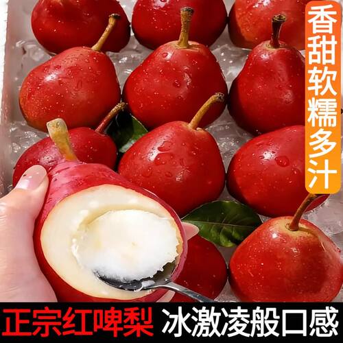 红啤梨9斤新鲜水果当季整箱包邮红皮梨红梨香软糯梨子时令包邮