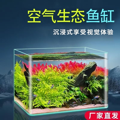 热弯玻璃金鱼缸懒人客厅生态造景鱼缸家用免换水小型桌面净水方形