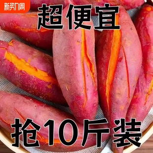 正宗沙土番薯地瓜黄心红薯地板栗薯黄皮健康粗粮沙地农家批发热卖