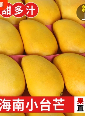 海南小台农芒果新鲜10斤应当季热带水果小台芒整箱包邮特产芒果