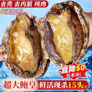 鲍鱼肉鲜活冷冻新鲜特大去壳小鲍鱼捞饭海鲜水产鱼商用