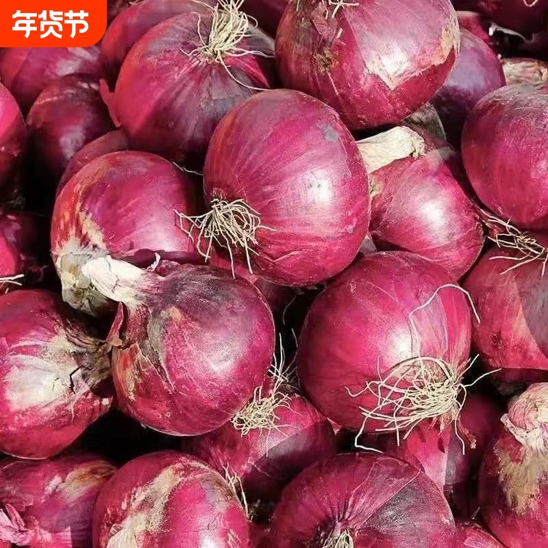 新鲜紫皮洋葱当季蔬菜水果圆葱头农家自种时令可生吃凉拌生鲜食用,水产肉类/新鲜蔬果/熟食,洋葱/红葱头,淘宝优惠券,粉丝福利购,淘宝优惠卷