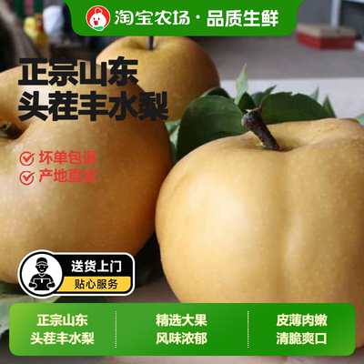 山东丰水梨正宗当季现摘清甜爽口送礼新鲜时令好水果农场大果精选