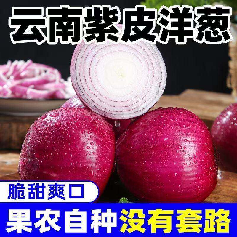 新鲜现挖 当季紫皮红洋葱深紫色生吃水果洋葱圆葱蔬菜批发包邮 - 实物图