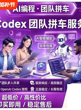 codex team拼车 business套餐 稳定保障哦