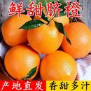 湖北宜昌脐橙新鲜橙子榨汁橙子高品质新鲜水果整箱当季 新鲜水果
