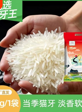 长粒大米香软锅巴猫牙丝苗苗米晚稻新鲜优选当季月牙中下游米业