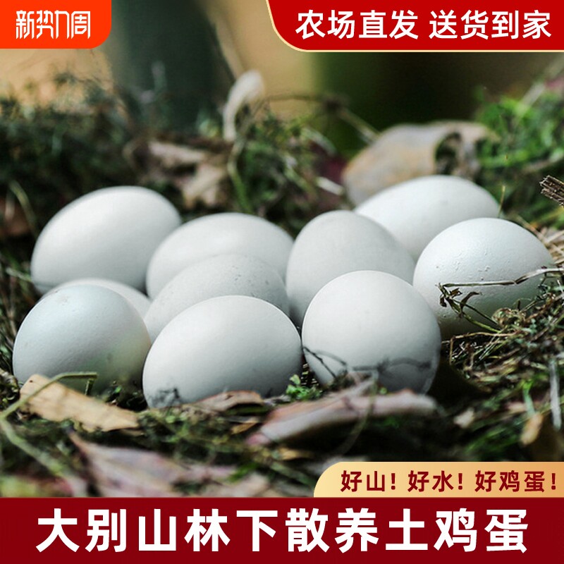 绿壳乌鸡蛋20枚大别山跑山鸡孕妇正宗农家散养土鸡蛋新鲜谷物农场