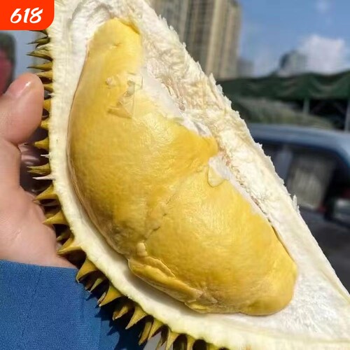 泰国进口正宗金枕榴莲带壳A果树熟榴莲干包细腻软糯整箱顺丰包邮
