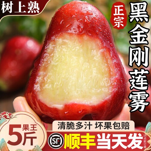 顺丰 5斤大果黑金刚莲雾新鲜水果当季现摘红宝石连雾果整箱包邮甜