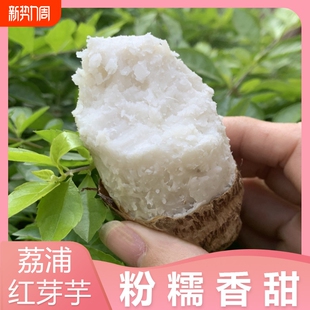 广西荔浦芋头新鲜香芋正宗小芋头香芋艿山地