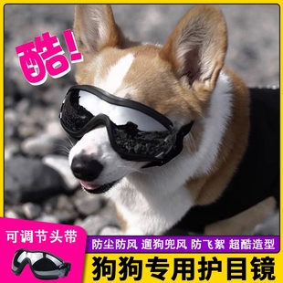 小狗专用小墨镜猫猫护目防风镜 狗狗护目镜眼镜饰品头饰宠物戴