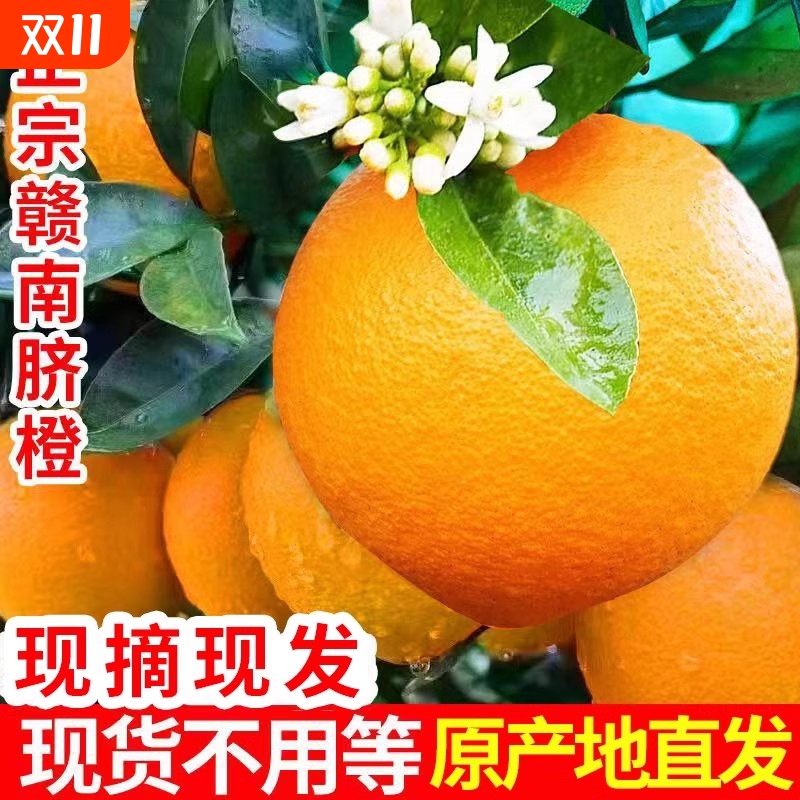 正宗江西赣南脐橙新鲜橙子10斤大果当季孕妇水果甜橙赣州产地直发
