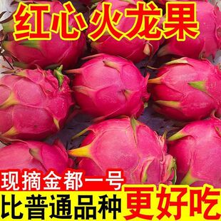 红心火龙果当季新鲜水果蜜红肉火龙果