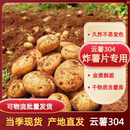 炸薯片专用云薯304土豆云南新鲜高山黄皮黄心马铃薯 洋芋 包邮