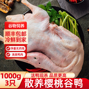 樱桃谷鸭现杀鸭肉新鲜白条鸭瘦肉型农家散养无添加批发商用整只