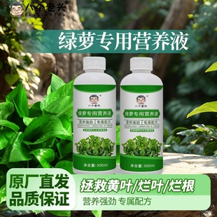 绿萝植物营养液生长营养液肥料防黄叶办公室花卉植物营养液水溶肥