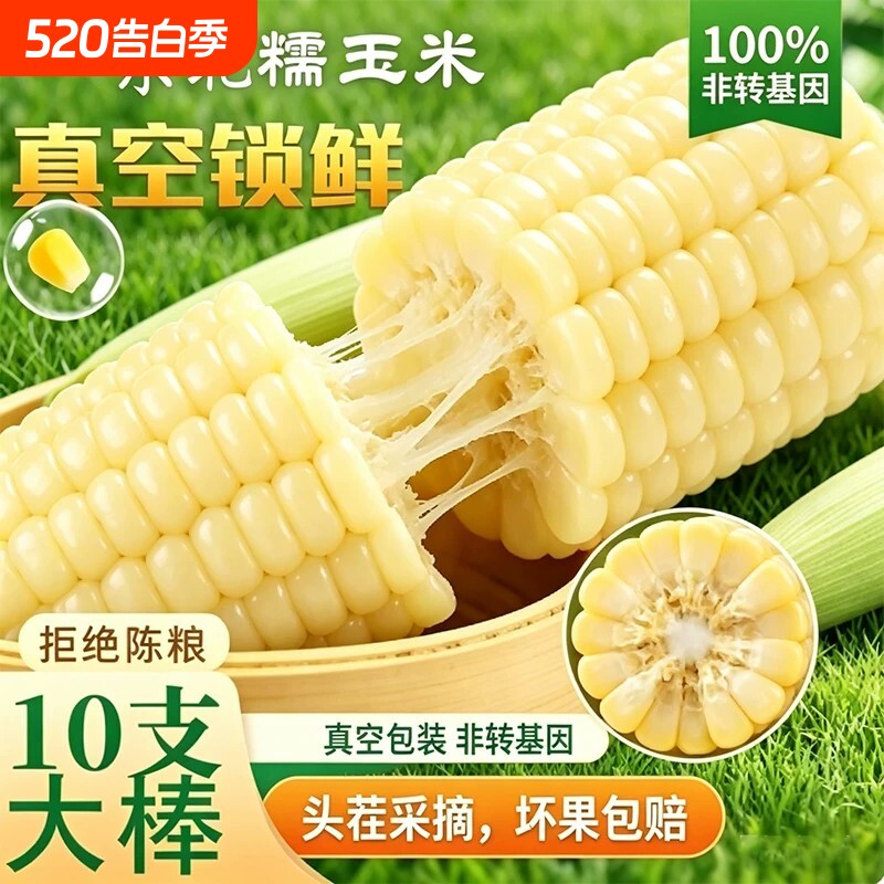 白糯玉米甜糯东北新鲜白糯玉米真空装加热即食新鲜玉米棒代餐粗粮