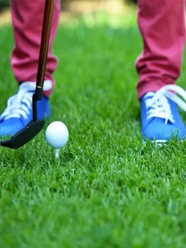 Семена травы долины четыре сезона Changqingguo собака Гранитная трава