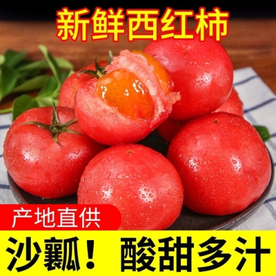 老果农自种阳光水果西红柿