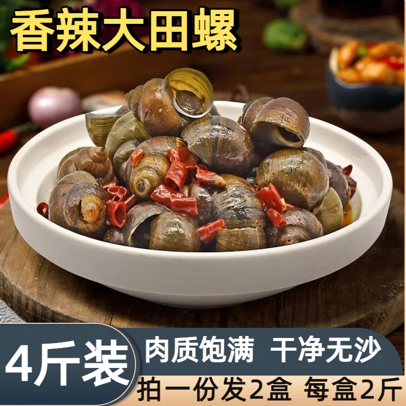 麻辣大田螺香辣夜宵下酒小零食田螺开袋即食真空冷冻食用水产超大