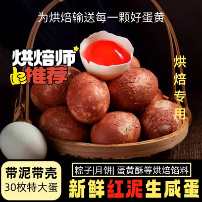 鄱阳湖红泥生咸鸭蛋烘焙带泥带壳新鲜腌制蛋黄酥咸蛋黄鲜鸭蛋粽子