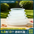 塑料家用花盆托盘底座PP树脂白色接水盘透明简约小号圆形花盘垫子