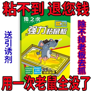 【新款】粘鼠板灭鼠诱鼠剂老鼠强力捕鼠鼠标特大号家用加厚一窝端