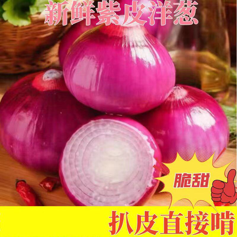 云南当季紫皮红洋葱深紫色生吃水果洋葱9斤圆葱蔬菜包邮