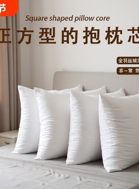 抱枕芯内胆455060沙发靠枕腰枕靠背垫套靠垫羽丝绒长方形舒适真空