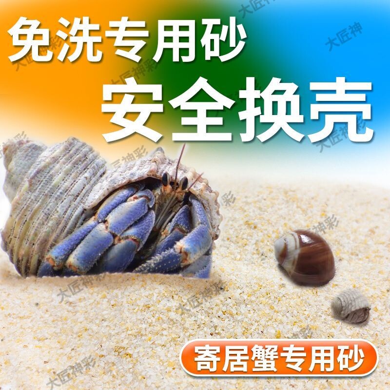 免洗海沙寄居蟹专用沙爬虫用具鱼缸底砂造景水草螃蟹底沙石纯天然