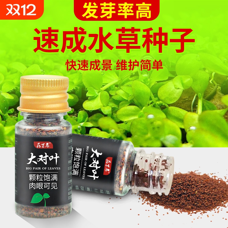 鱼缸水草种子前景草坪造景专用
