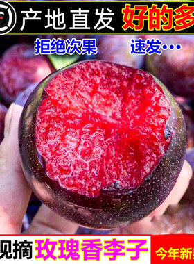 李子新鲜水果黑布林正宗红心李子