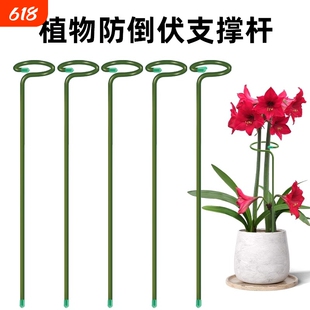 铁艺小圆支撑架植物支撑杆花固定花园盆栽防倒伏花架子绣球花盆
