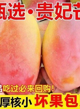 【新果】贵妃芒果9斤红金龙当季新鲜水果应季薄皮甜心芒青芒批发