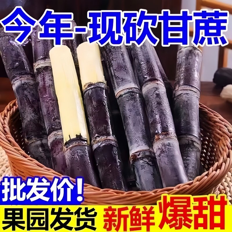 正宗广西黑皮甘蔗新鲜脆甜水果应当季水果特产现砍整根甜整箱包邮,水产肉类/新鲜蔬果/熟食,甘蔗,淘宝优惠券,粉丝福利购,淘宝优惠卷