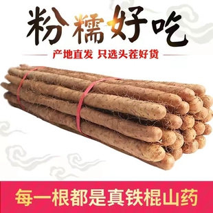 药食同源正宗铁棍山药新鲜铁杆淮山现挖小白嘴自种怀山药长山药