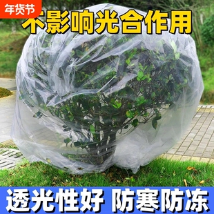 植物防寒保暖罩保温布袋花架花卉栽绿植果树木透气防冻罩子加厚款