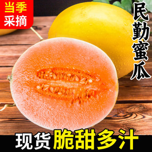 甘肃民勤黄河蜜瓜黄皮甜瓜当季新鲜黄金蜜瓜香瓜包邮原产地脆甜