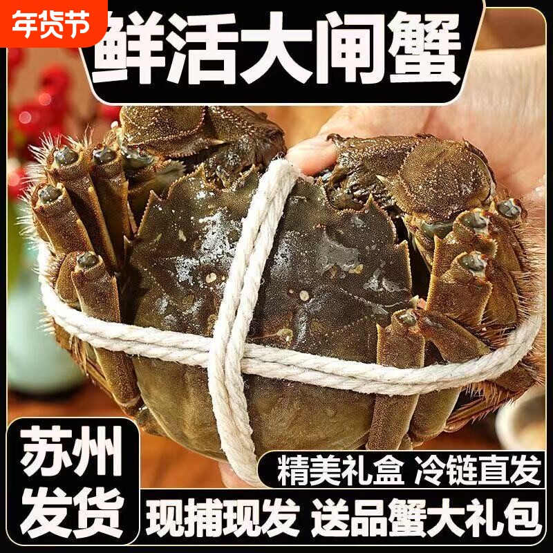 现货鲜活大闸蟹公母螃蟹生鲜河蟹海鲜水产礼盒装6/12含绳苏州发货